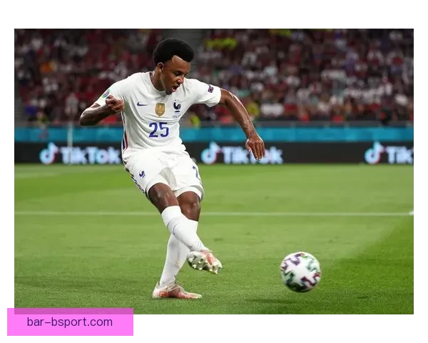 埃米尔·史密斯·罗以3180万欧元加盟富勒姆开启新篇章